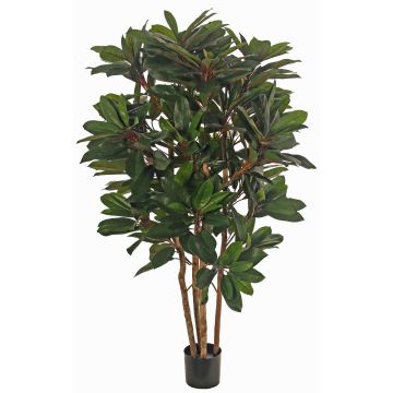 Planta artificial Schefflera ZULEIKA, troncos auténticos, verde, 120cm Planta artificial Schefflera ZULEIKA, troncos auténticos, verde, 120cm