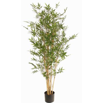 Planta artificial bambú KEAO, cañas de bambú auténticas, 150cm Planta artificial bambú KEAO, cañas de bambú auténticas, 150cm