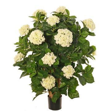 Hortensia artificial PINDO, crema, 95 cm