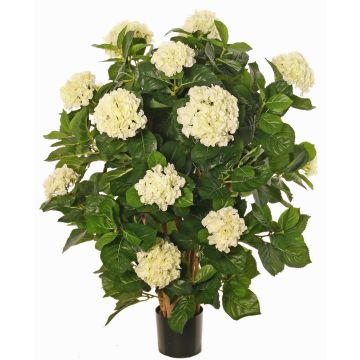 Hortensia artificial PINDO, crema, 95cm Hortensia artificial PINDO, crema, 95cm