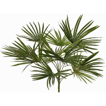 Palmera artificial Washingtonia SAIMA en varilla, crossdoor, 50cm Palmera artificial Washingtonia SAIMA en varilla, crossdoor, 50cm