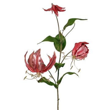 Rama de gloriosa de terciopelo DINFAS, malva dorado, 80 cm
