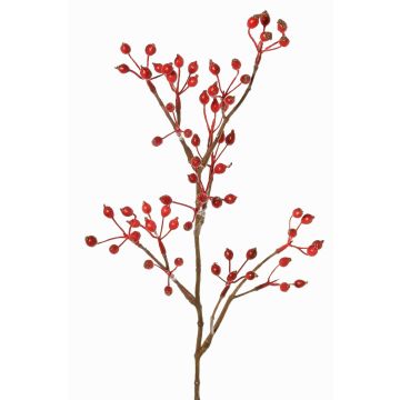 Rama decorativa de rosa silvestre HIKERNO con escaramujos, roja, 60cm Rama decorativa de rosa silvestre HIKERNO con escaramujos, roja, 60cm