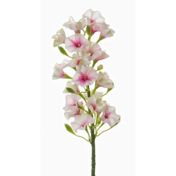 Phlox artificial ALSA, blanco-rosa, 35cm, Ø6cm Phlox artificial ALSA, blanco-rosa, 35cm, Ø6cm