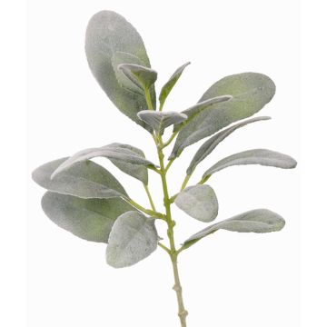 Rama de oreja de conejo artificial FERRIS, gris-verde, 40cm