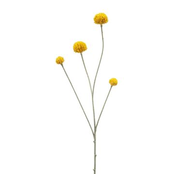 Ramita artificial «RILADA», amarilla, 70 cm