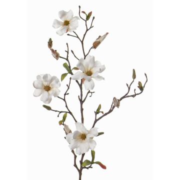 Rama de magnolia sintética MARGA, blanco, 80cm, Ø6-8cm Rama de magnolia sintética MARGA, blanco, 80cm, Ø6-8cm