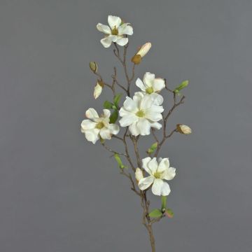 Rama de magnolia sintética MARGA, blanco, 80cm, Ø6-8cm