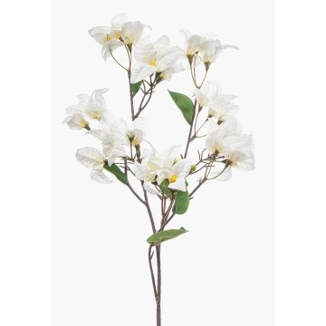 Rama decorativa Bougainvillea MOWLER con flores, crema, 70 cm Rama decorativa Bougainvillea MOWLER con flores, crema, 70 cm