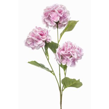 Rama artificial de hortensia GRACELYN, rosa, 75 cm Rama artificial de hortensia GRACELYN, rosa, 75 cm