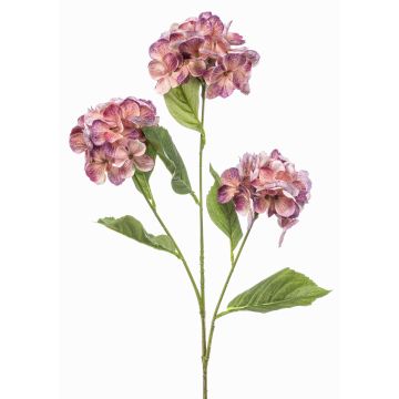 Rama artificial de hortensia GRACELYN, melocotón-lila, 75 cm Rama artificial de hortensia GRACELYN, melocotón-lila, 75 cm