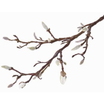 Rama de magnolia artificial ASANI, blanco, 70cm, Ø1-2cm