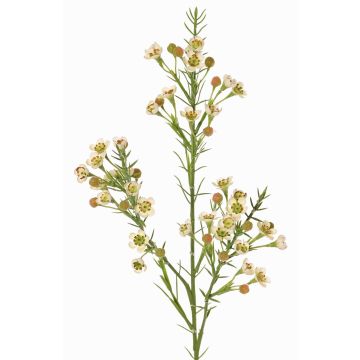 Rama decorativa de flor de cera FRINDALS, crema, 65cm, Ø1,5-2cm Rama decorativa de flor de cera FRINDALS, crema, 65cm, Ø1,5-2cm
