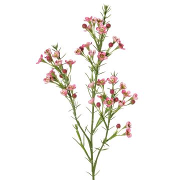 Rama decorativa de flor de cera FRINDALS, rosa oscuro, 65 cm