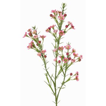 Rama decorativa de flor de cera FRINDALS, rosa oscuro, 65cm, Ø1,5-2cm Rama decorativa de flor de cera FRINDALS, rosa oscuro, 65cm, Ø1,5-2cm
