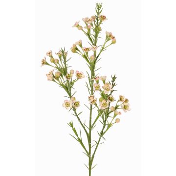 Rama decorativa de flor de cera FRINDALS, rosa claro-blanco, 65cm, Ø1,5-2cm Rama decorativa de flor de cera FRINDALS, rosa claro-blanco, 65cm, Ø1,5-2cm