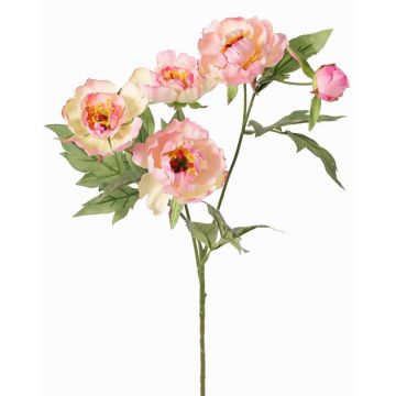 Rama artificial de peonía LARDUAN, Eco Collection, rosa-blanco, 60cm, Ø7cm Rama artificial de peonía LARDUAN, Eco Collection, rosa-blanco, 60cm, Ø7cm
