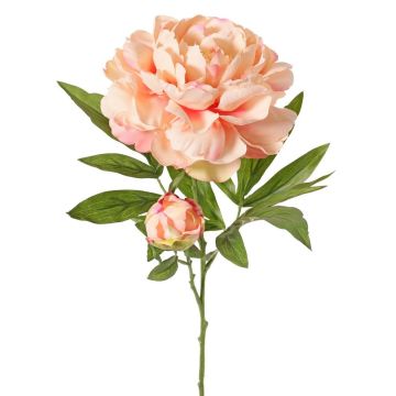 Peonía artificial WARDUAN, Eco Collection, salmón, 65 cm, Ø 15 cm