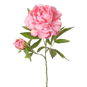 Peonía artificial WARDUAN, Eco Collection, rosa, 65 cm, Ø 15 cm Peonía artificial WARDUAN, Eco Collection, rosa, 65 cm, Ø 15 cm