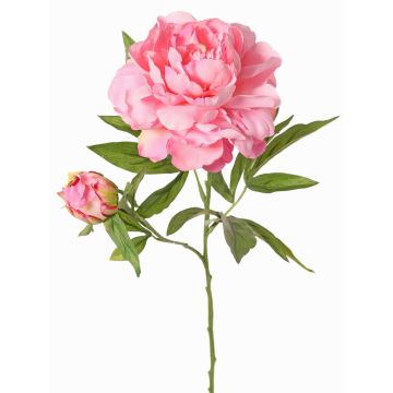 Peonía artificial WARDUAN, Eco Collection, rosa, 65cm, Ø15cm Peonía artificial WARDUAN, Eco Collection, rosa, 65cm, Ø15cm