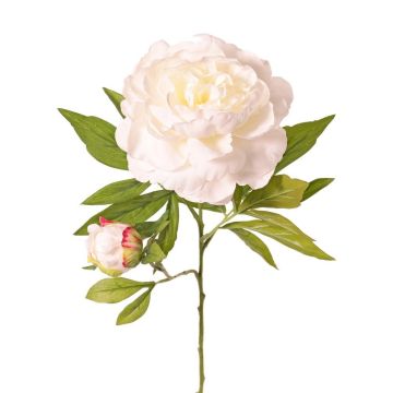 Peonía artificial WARDUAN, Eco Collection, blanca, 65 cm, Ø 15 cm