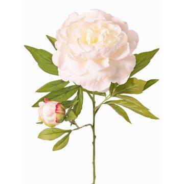 Peonía artificial WARDUAN, Eco Collection, blanca, 65cm, Ø15cm Peonía artificial WARDUAN, Eco Collection, blanca, 65cm, Ø15cm