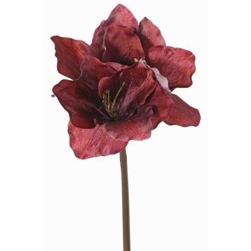 Amaryllis artificial SARDUAN, rojo burdeos, 65cm, Ø10cm Amaryllis artificial SARDUAN, rojo burdeos, 65cm, Ø10cm