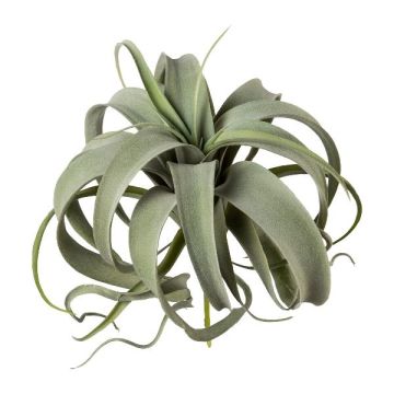 Suculenta artificial Tillandsia xerographica TRUMSY, varilla, verde, 28 cm, Ø 25 cm