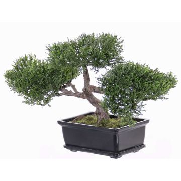 Bonsái de cedro artificial ALESSA, con raíz, en maceta, verde, 23cm