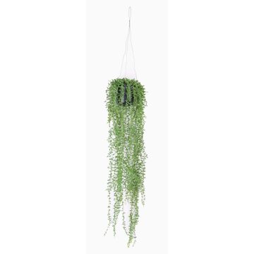 Cesta colgante con senecio artificial COSIMA, tiesto decorativo, verde, 70cm Cesta colgante con senecio artificial COSIMA, tiesto decorativo, verde, 70cm