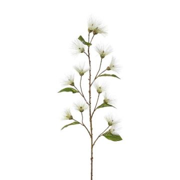 Rama artificial limpiador de cilindros GRAMLO, flores, blanco, 145 cm Rama artificial limpiador de cilindros GRAMLO, flores, blanco, 145 cm