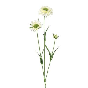 Rama decorativa de scabiosa ATLENTO, blanca, 65 cm