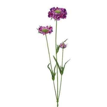 Rama decorativa de scabiosa ATLENTO, violeta, 65 cm