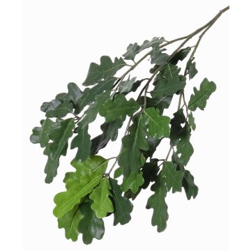Rama decorativa de roble KALLI, crossdoor, 70cm Rama decorativa de roble KALLI, crossdoor, 70cm