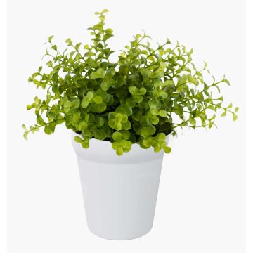 Eucalipto artificial JOSHUA, maceta de cerámica, verde, 20cm, Ø17cm