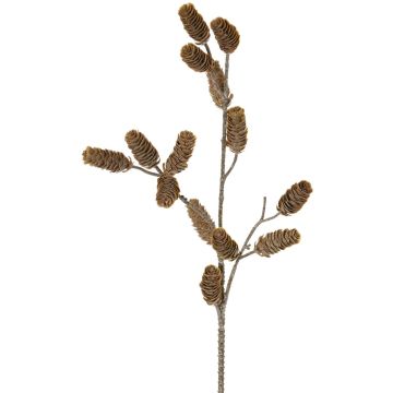 Rama decorativa de pino LONGIH con piñas, marrón y blanco, 75 cm