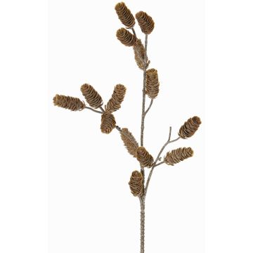 Rama decorativa de pino LONGIH con piñas, marrón-blanco, 75cm Rama decorativa de pino LONGIH con piñas, marrón-blanco, 75cm