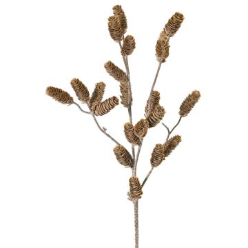 Rama decorativa de pino LONGIH con piñas, marrón y blanco, 95 cm