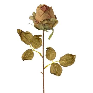 Flor artificial rosa GROLK, aspecto seco, verde-marrón, 45cm, Ø6cm