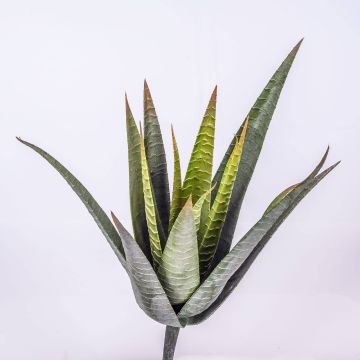 Aloe artificial MARTINEZ, en vara de fijación, verde, 30cm, Ø17cm