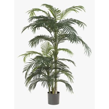 Palma de Areca artificial CAMYRA, 170cm Palma de Areca artificial CAMYRA, 170cm