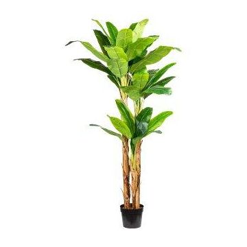 Palmera artificial platanero FABIEN en maceta decorativa, 240 cm