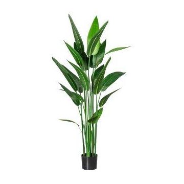 Planta artificial canna TAFRO, verde, 140 cm