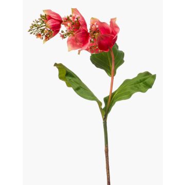 Flor artificial medinilla NIVARD, coral, 110 cm Flor artificial medinilla NIVARD, coral, 110 cm