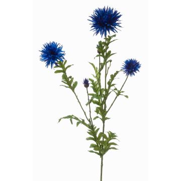 Rama decorativa de aciano BROLIX, azul, 100 cm