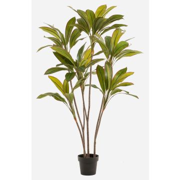 Planta artificial Cordyline MEIKE, troncos artificiales, maceta decorativa, verde, 160 cm