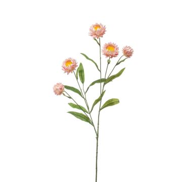 Rama decorativa Flor de paja SNAVIK, rosa, 70 cm