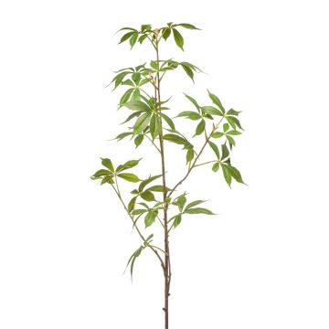 Rama decorativa Cáñamo KUNOVI, verde, 105 cm