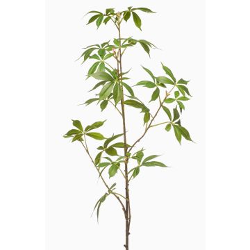 Rama decorativa Cáñamo KUNOVI, verde, 105 cm Rama decorativa Cáñamo KUNOVI, verde, 105 cm