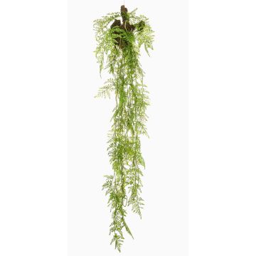 Planta colgante artificial Asparagus Plumosus SHALLON en rama, verde, 150 cm Planta colgante artificial Asparagus Plumosus SHALLON en rama, verde, 150 cm